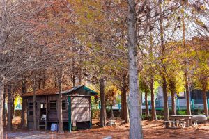 IG-@jack590202-1 IG-@jack590202-1