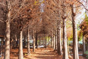 IG-@jack590202 IG-@jack590202