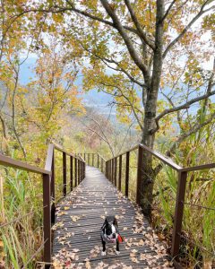 IG-@seven1090629 IG-@seven1090629